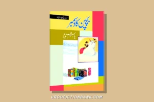 Bachpan Ka December By Hashim Nadeem – Download PDF