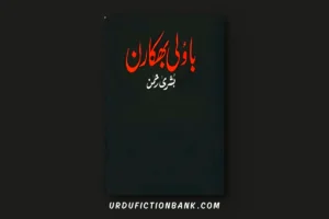 Bauli Bhikaran By Bushra Rehman – Download PDF