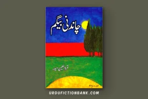 Chandni Begum By Qurratulain Haider – Download PDF