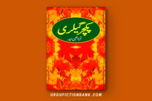 Picture Gallery By Qurratulain Haider – Download PDF